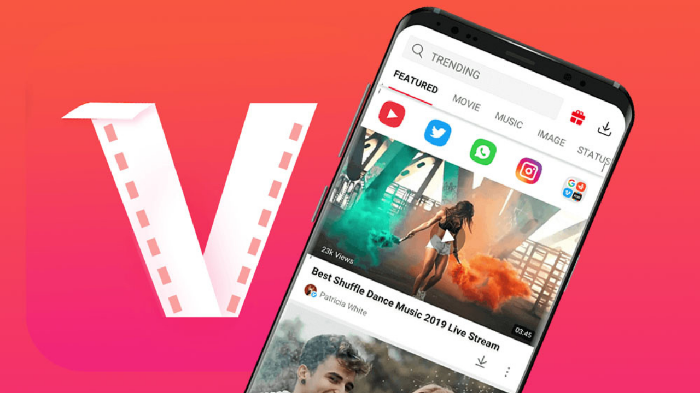 Why You Should Have Vidmate On Your Device?