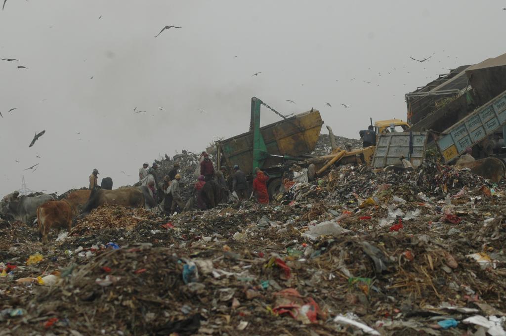 Zero Waste Management In India