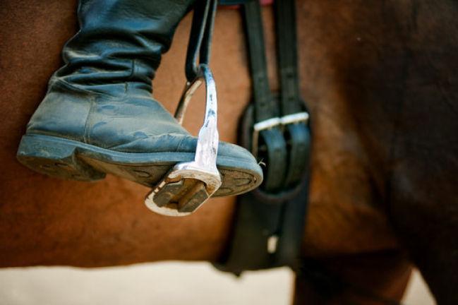 Stirrup